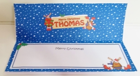 Xmas Thomas Rudolph Signpost Large Dl Matching Insert by Pam Stubley