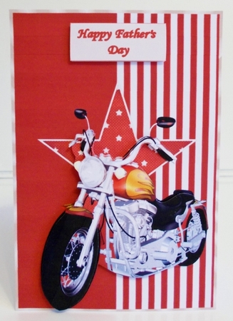 Born to Ride by Pam Stubley