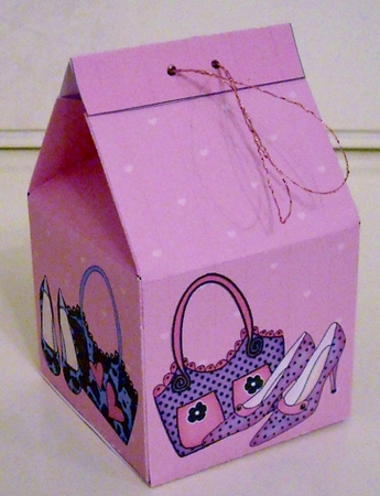3D Shoes & Handbags Milk Carton Money or Treat Box Mini Kit by Pam Stubley