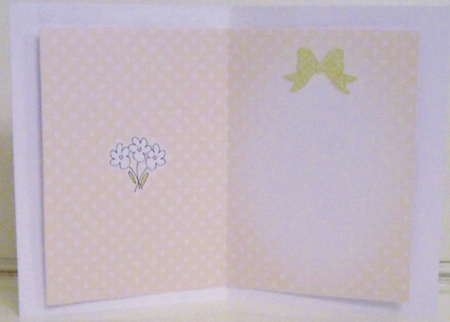Pretty Soft Dots A5 Portrait Insert by Pam Stubley
