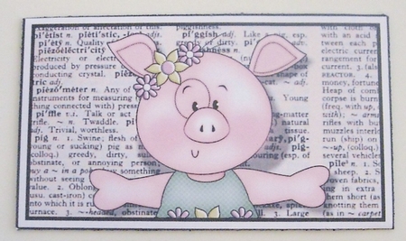 Ballerina Pig Dictionary Money Wallet by Pam Stubley