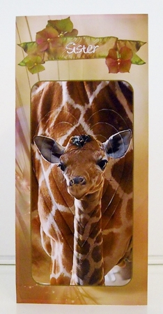 Mother and Baby Giraffe, Dl Card Front and Back by Pam Stubley