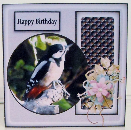 Birds of a Feather 3 by Pam Stubley