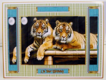 Tigers by Pam Stubley