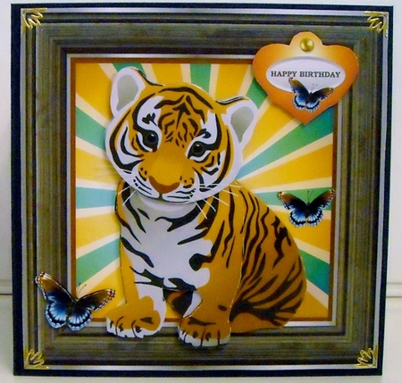 Little Tiger by Pam Stubley