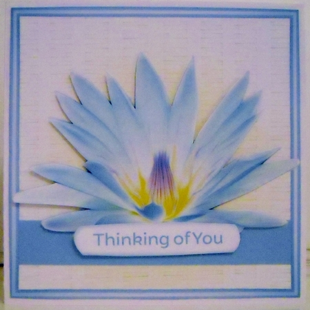 Wicker Waterlily Series 1 - 7 Quick 8x8 Cards by Pam Stubley