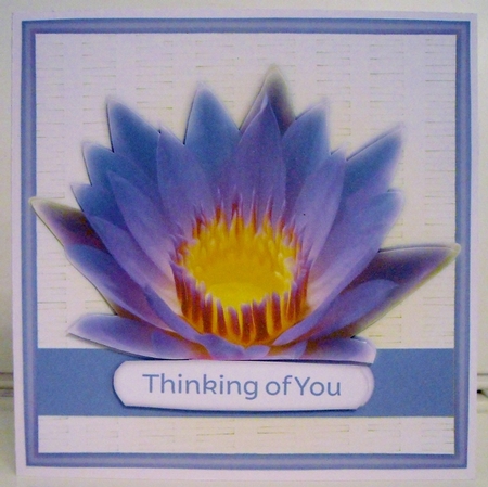 Wicker Waterlily Series 1 - 7 Quick 8x8 Cards by Pam Stubley
