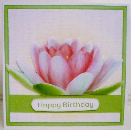 Wicker Waterlily Series 1 - 7 Quick 8x8 Cards by Pam Stubley