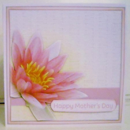 Wicker Waterlily Series 1 - 7 Quick 8x8 Cards by Pam Stubley
