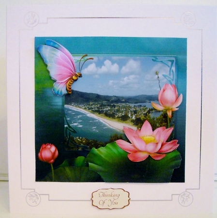 Top of Paku by Pam Stubley