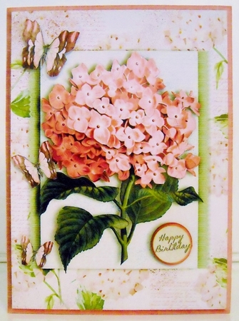 Hydrangea Cardtopper Minikit pink 882 by Pam Stubley