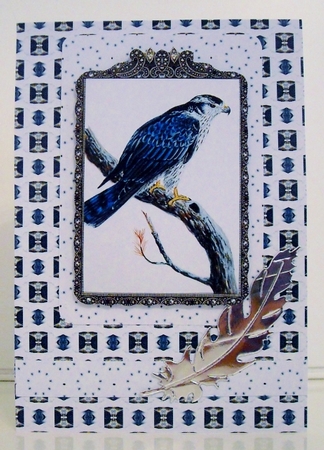 Topper Kit - Bird of Prey 1 by Pam Stubley