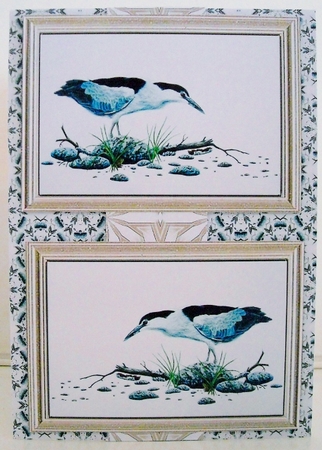 Topper Kit - Black Crowned Night Heron by Pam Stubley