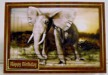Elephant Pyramage Mini KIt by Pam Stubley