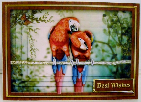 Parrot Pyramage Mini Kit by Pam Stubley