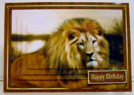 Lion Pyramage Mini Kit by Pam Stubley
