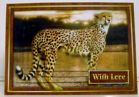Leopard Pyramage Mini Kit  by Pam Stubley