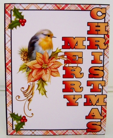 Shutter surprise kit- Christmas Lantern by Pam Stubley