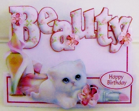 WORDS & PICTURES STEPPER KIT - Beauty by Pam Stubley