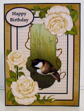 A Birds eye View by Pam Stubley