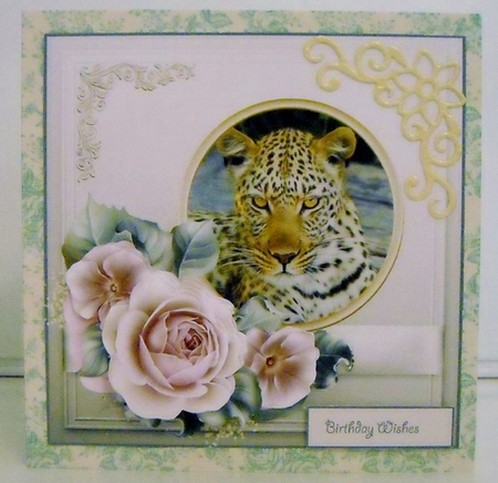 The Leopard 7.5x7.5 card with decoupage by Pam Stubley