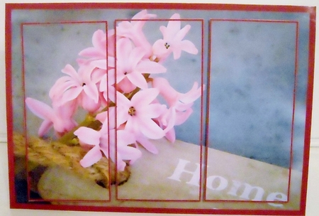 New Home Hyacinth Panel Card by Pam Stubley