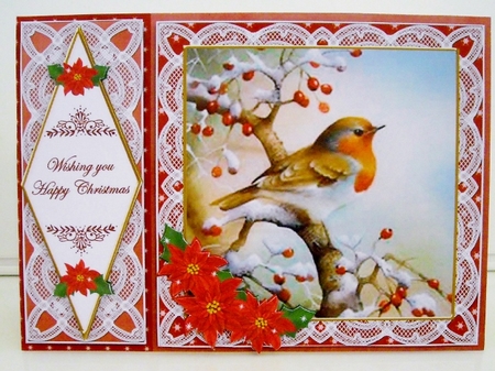 Red Robin Happy Christmas 7x5inch Diamond Lace Step by Step by Pam Stubley