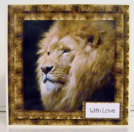 Animal Magic - The Lion by Pam Stubley