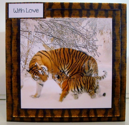 Animal Magic - The Tiger by Pam Stubley
