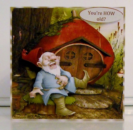 YOURE HOW OLD BIRTHDAY GNOME CARD FRONT by Pam Stubley