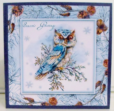 The Christmas Owl by Pam Stubley