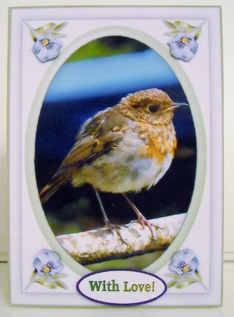 5 x 7 My Baby Robin Card Topper & Greetings For Female Occasions  by Pam Stubley