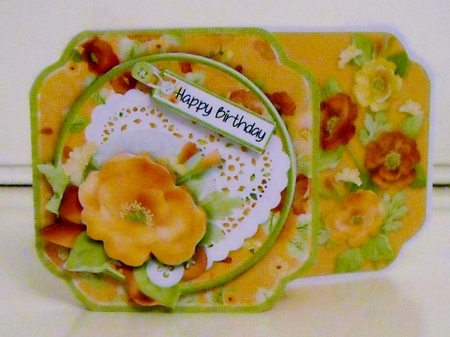 Bright Poppy Card Kit by Pam Stubley