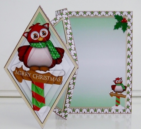 Winter Owl Diamond Fold Card by Pam Stubley