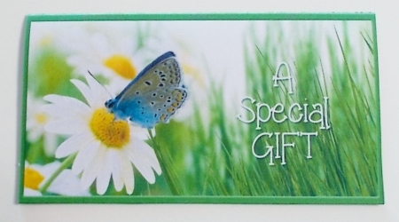 Butterfly Beauty -  Envelope Money/Voucher Wallet  by Pam Stubley