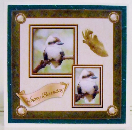 Baby Kookaburra by Pam Stubley
