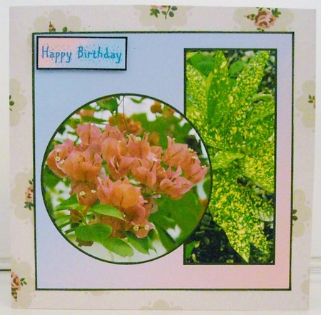 Pink Flowers Birthday  by Pam Stubley