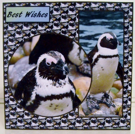 Penguins 2 Birthday v2 by Pam Stubley