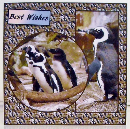 Penguins Birthday v2 by Pam Stubley