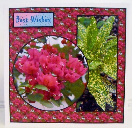 Pink Flowers Birthday v2 by Pam Stubley