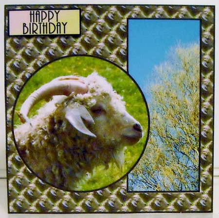 Sheep v2 by Pam Stubley