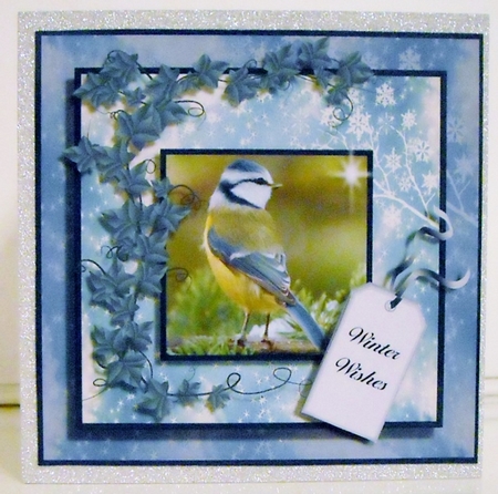 Snowy Christmas Bird One by Pam Stubley