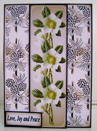 Christmas Rose by Pam Stubley
