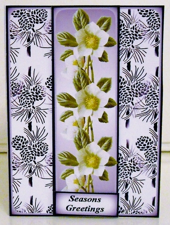Christmas Rose 6 by Pam Stubley