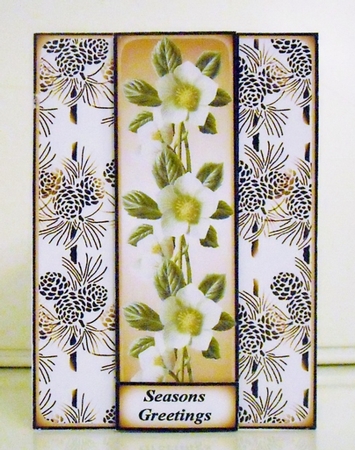 Christmas Rose 10 by Pam Stubley