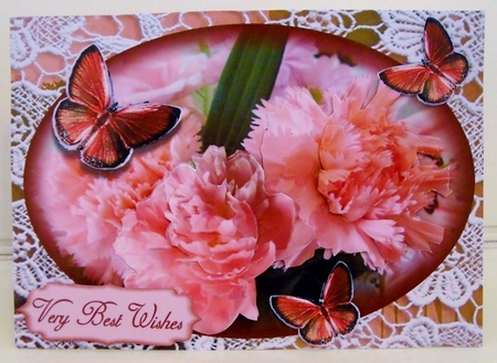 smile be happy carnations pink. by Pam Stubley