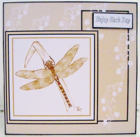 my dragon fly Art by Pam Stubley