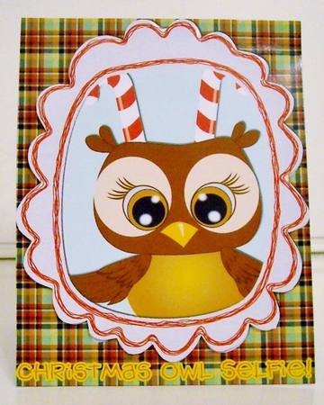 CHRISTMAS OWL SELFIE by Pam Stubley