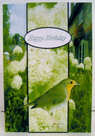 Robin redbreast by Pam Stubley