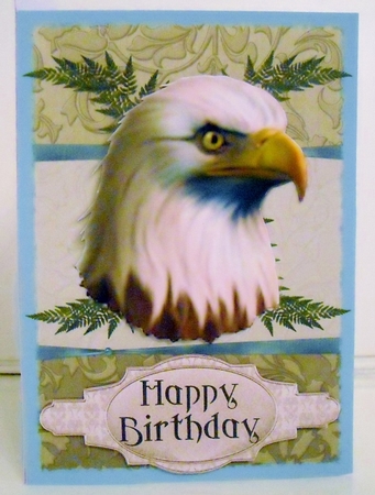 Eagles Head by Pam Stubley